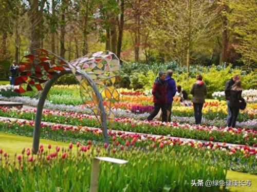 荷兰住宅公园排名前十(荷兰小镇空中别墅)插图44