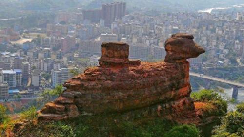 广东排名前十高山(广东十大高山排行榜)插图3
