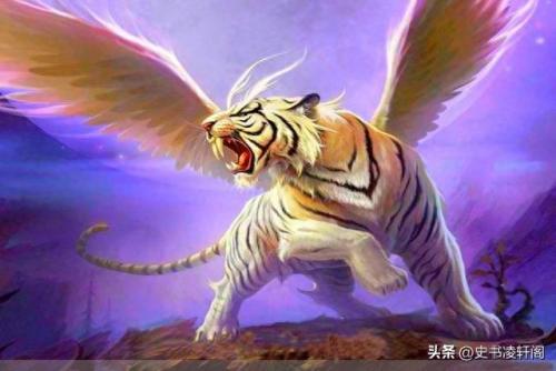 排名前十的狮王(世界公认第一名狮王)插图3