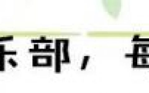 团藏的右臂(团藏之死完整版)