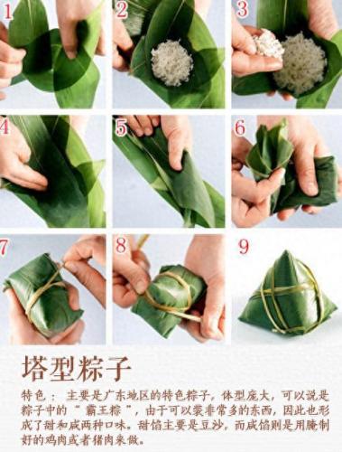 粽子包法大全 图解(六种粽子的包法图解)插图4