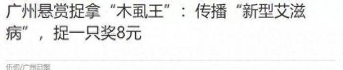 世界上最好的生物排名前十(世界上十大厉害的生物)插图32