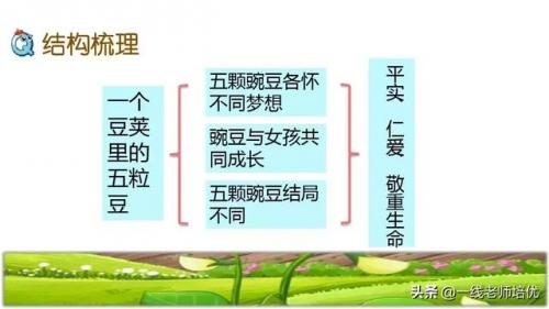 豌怎么组词-(豌可以怎么组词语)插图38