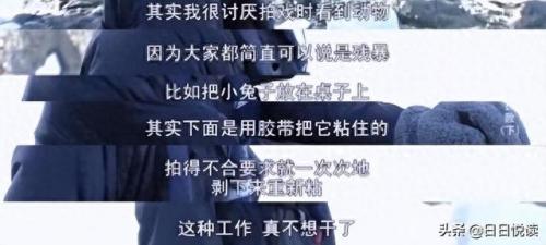 金城武是哪国人(金城武承认喜欢过杨采妮吗)插图25