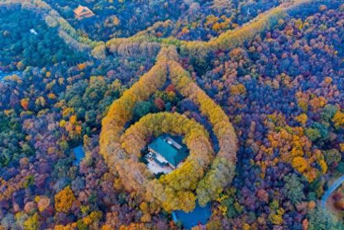 南京最好的古建筑排名前十(南京有名建筑)插图5