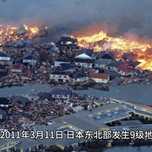2011年大事件(2011年囤盐事件的起因)插图