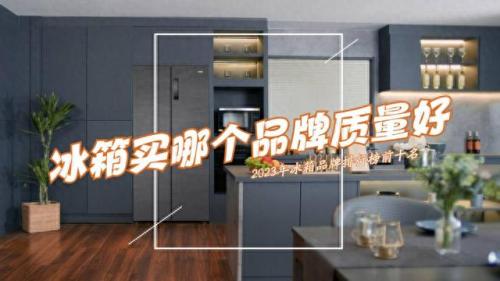 冰箱品质排名前十(冰箱贴牌代工厂排名)插图