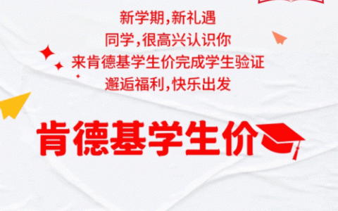 半价桶(原味鸡半价桶有多少个)
