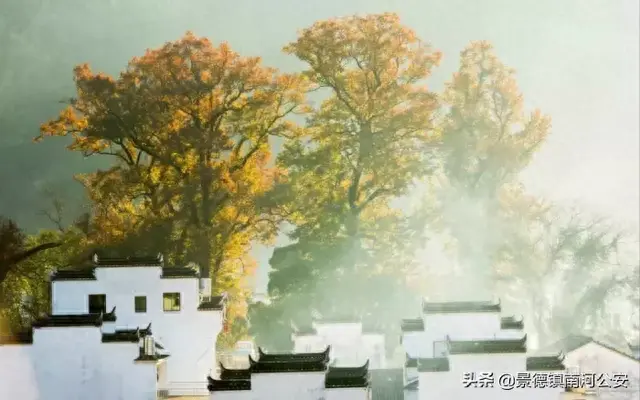 飞花轻寒李白(飞花轻寒古诗)插图6