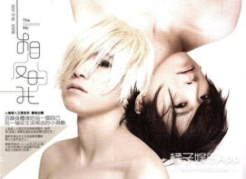 春泥张芸京(春泥女声版最好听的)插图17