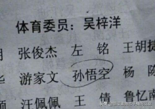 搞笑网络名字(搞笑wifi名字)插图1