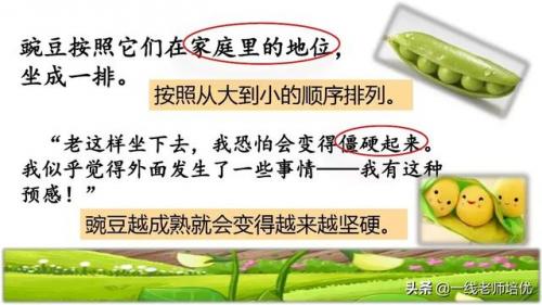 豌怎么组词-(豌可以怎么组词语)插图20