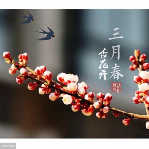 水城御墅(临汾御景水城御宸苑房价)插图2