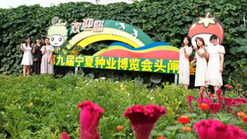 宁夏道观排名前十(宁夏旅游景点十大排名)插图3