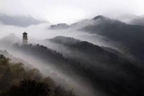 信阳景点排名前十(信阳十大茶园排名)插图9