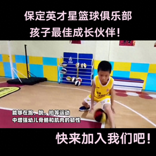 保定排名前十篮球学校老师(保定学院篮球教师)插图