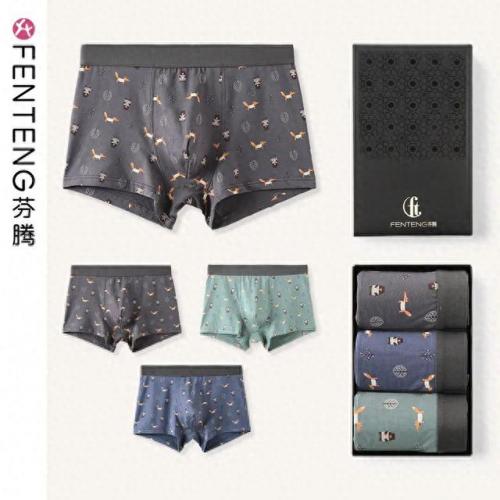 好内裤男士排名前十(内裤男品牌前十大排名)插图2