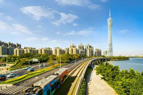 松香产地排名前十(中国十大松香产地)插图2