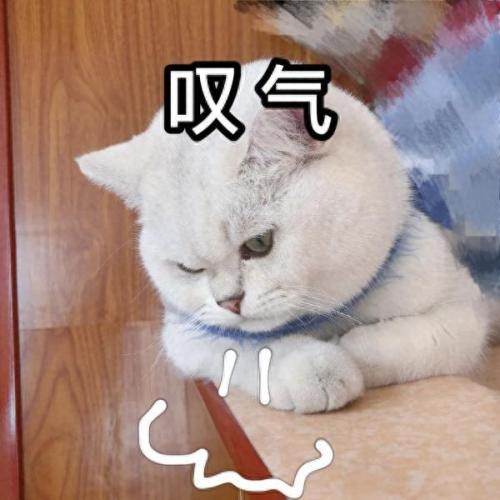 qq超市打不开(qq超市手机版官方最新版)插图10