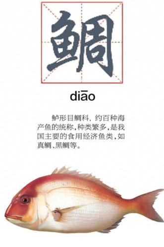 海鲷口感排名前十(海鲷价格)插图1