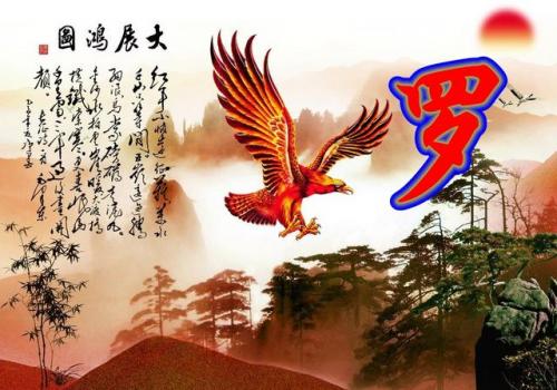 百家姓qq头像(百家姓头像大全真实图)插图12
