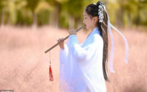重阳节七言绝句大全(重阳节的书法七言)