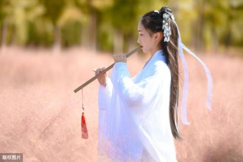 重阳节七言绝句大全(重阳节的书法七言)插图
