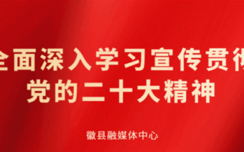徽县实验小学(徽县一中被判刑女教师)
