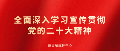徽县实验小学(徽县一中被判刑女教师)插图