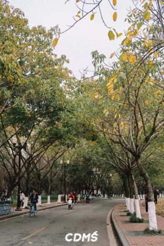 成都十陵镇小吃排名前十(成都十大排名小吃)插图77