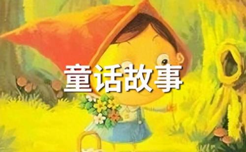 雨后的故事 图片(雨后的照片文案)插图