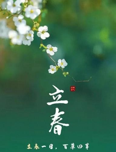立春图片大全最新图(近期立春图片)插图10