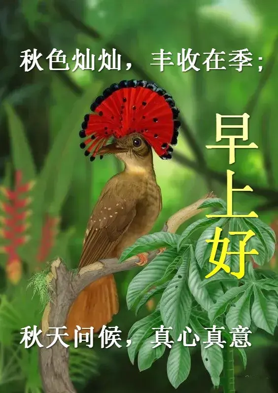 前路漫漫雨纷纷谁在痴痴等(前路漫漫雨纷纷完整版原唱)插图9