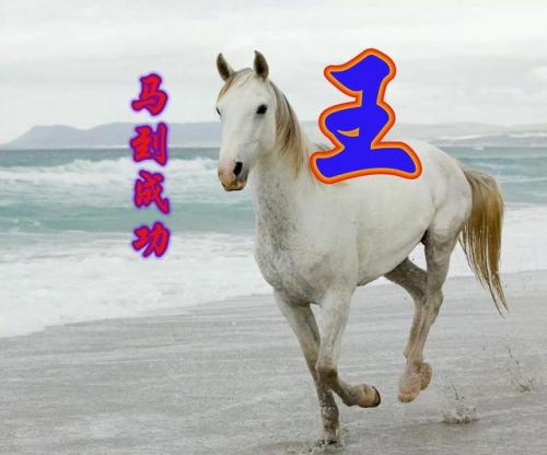 百家姓qq头像(百家姓头像大全真实图)插图23