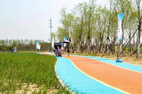 北京大兴区景区排名前十(大兴十大景区排名榜)插图7