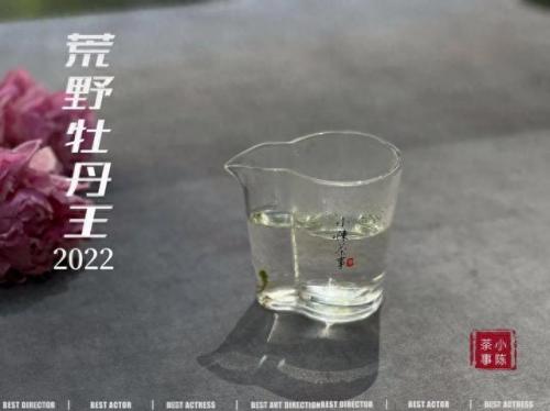 白茶品类排名前十(白茶品牌排名前十名)插图13