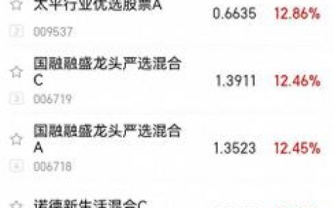 ai基金排名前十(ai基金有哪些)