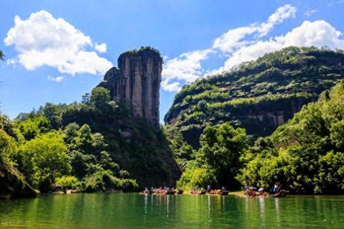 松香产地排名前十(中国十大松香产地)插图1