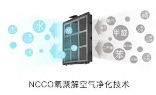 泉州空气净化器排名前十(宁德空气净化器排名前十)插图2