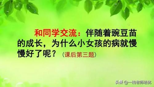 豌怎么组词-(豌可以怎么组词语)插图35