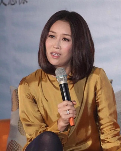 中国前偶像歌手排名前十(中国大陆最新歌手排名前十)插图20