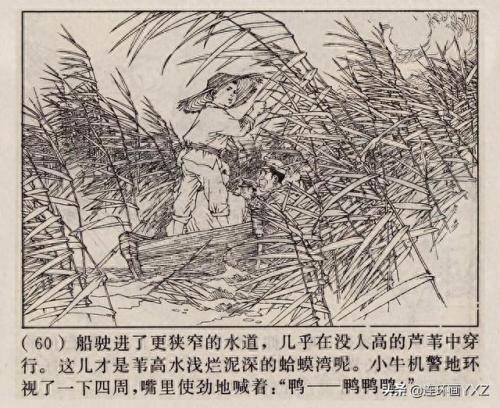 芦荡小英雄(电影芦荡小英雄)插图62