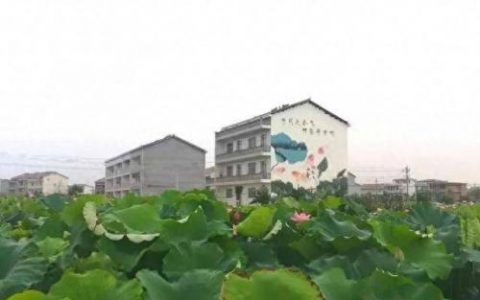 余江农庄排名前十(余江休闲农庄排名)