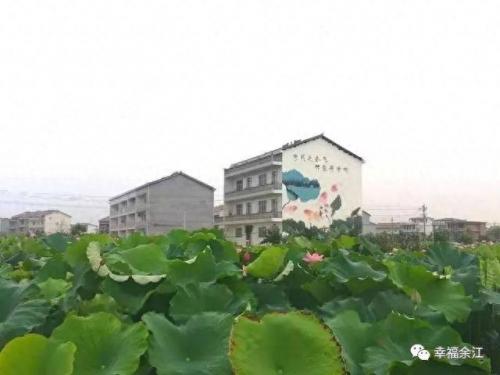 余江农庄排名前十(余江休闲农庄排名)插图