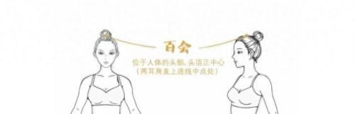 百会网(百会是什么穴)插图