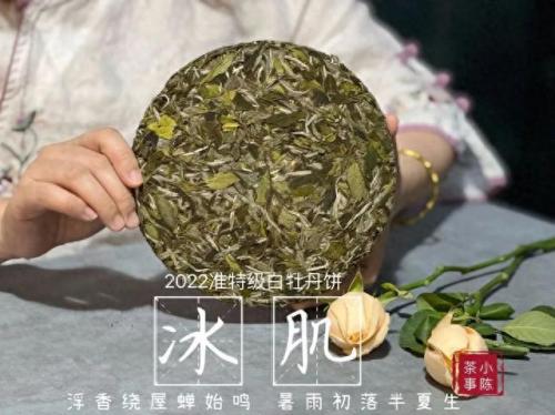 白茶品类排名前十(白茶品牌排名前十名)插图8