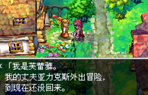 勇者斗恶龙9图文全攻略(勇者斗恶龙9全攻略)插图6