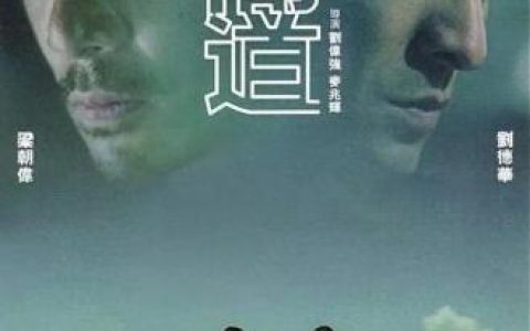 电影卧底排名前十(卧底女警察暴露身份是哪个电影)