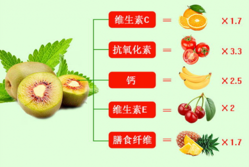 猕猴桃属于哪类水果(猕猴桃做酒最佳搭配水果)插图4