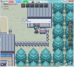 pokemmo关都攻略(pokemmo)插图15